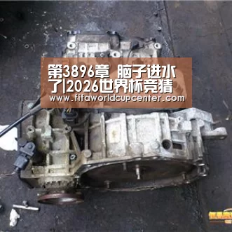 第3896章 脑子进水了|2026世界杯竞猜