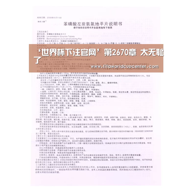 世界杯下注入口